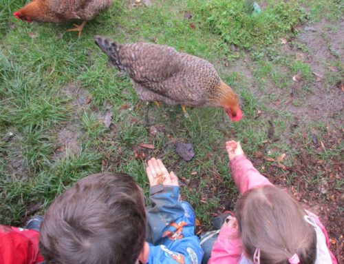 Erlebnisreicher Ausflug zum Naturfreundehaus Hardt